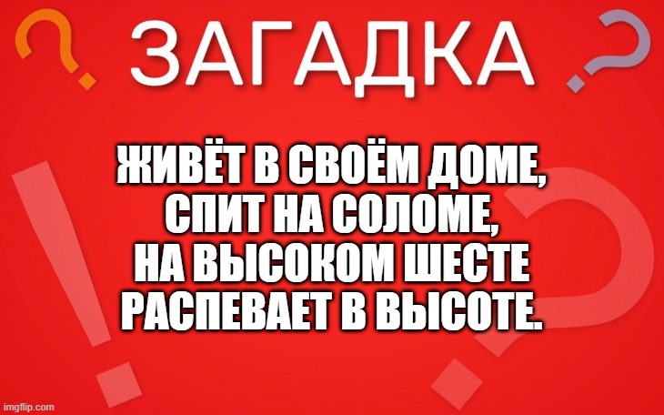 Живёт в своём доме, спит на соломе — загадка