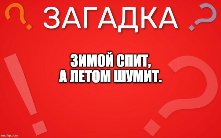 Зимой спит, а летом шумит — загадка