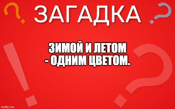 Зимой и Летом — Одним Цветом — загадка
