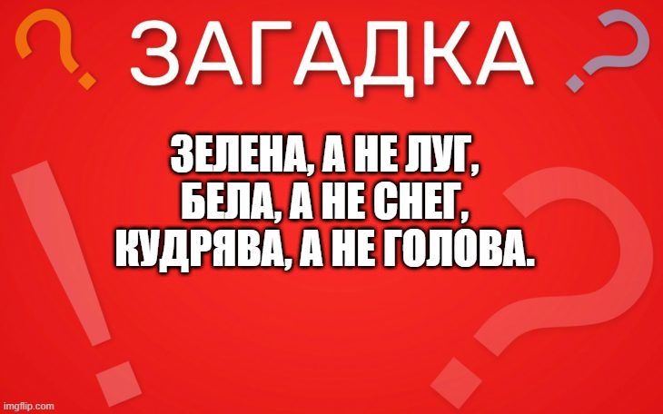 Зелена а не луг, бела а не снег — загадка