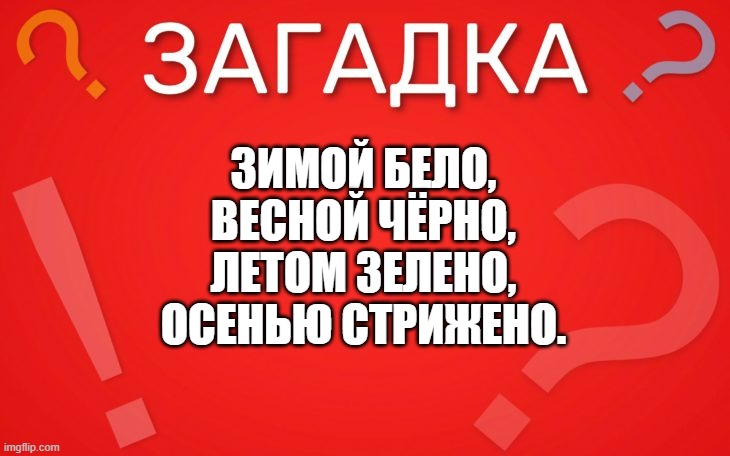 Зимой бело, весной чёрно — загадка