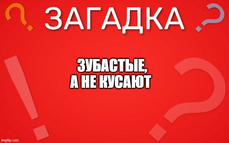 Зубастые, а не кусают — загадка