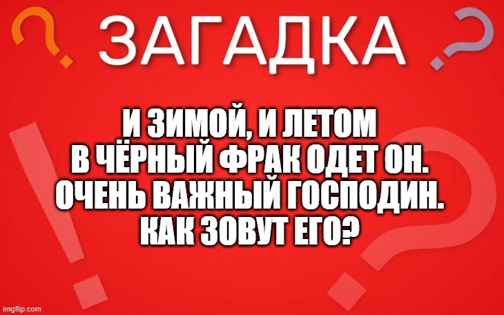 И зимой, и летом в чёрный фрак одет он — загадка