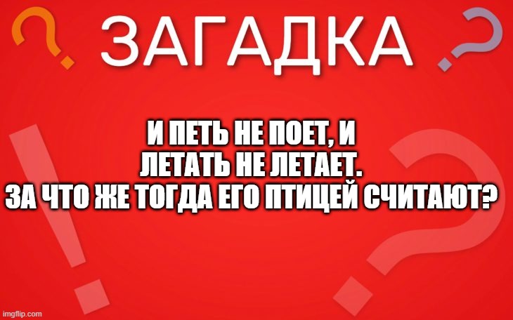 И петь не поет, и летать не летает — загадка