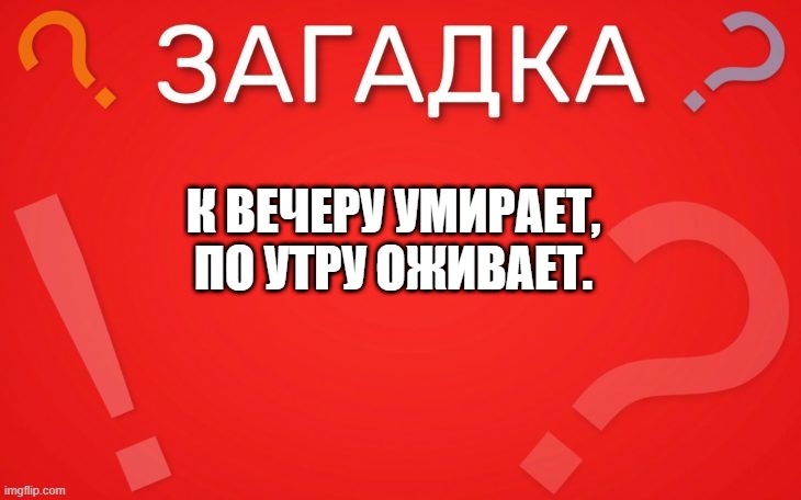 К вечеру умирает, по утру оживает — загадка