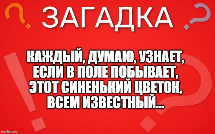 Каждый, думаю, узнает, если в поле побывает — загадка