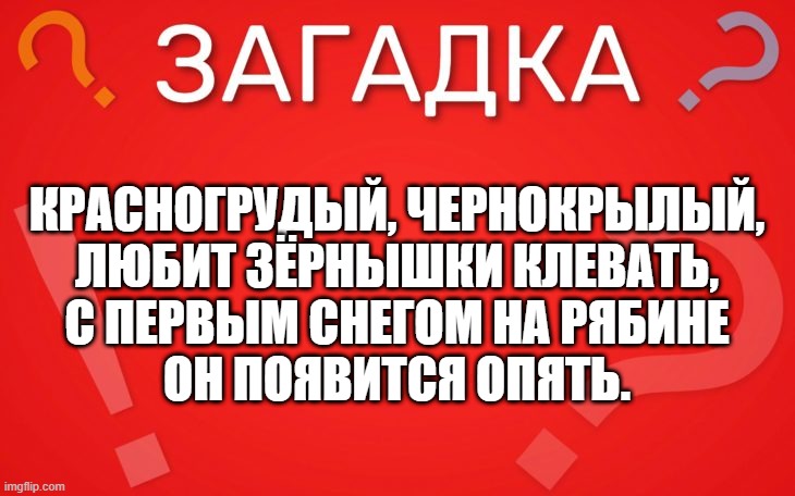 Красногрудый, чернокрылый, любит зёрнышки клевать — загадка