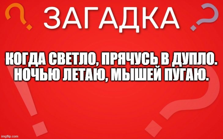 Когда светло, прячусь в дупло — загадка
