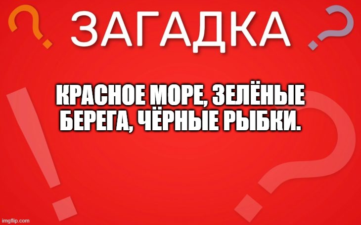 Красное море, зелёные берега, чёрные рыбки — загадка