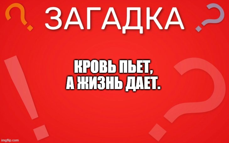 Кровь пьет, а жизнь дает — загадка