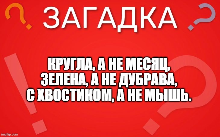 Кругла а не месяц, зелена а не дубрава — загадка