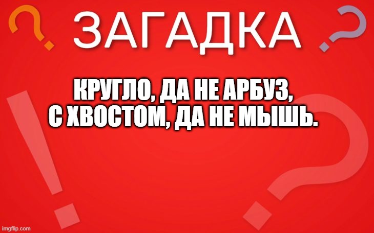 Кругло да не арбуз, с хвостом да не мышь — загадка
