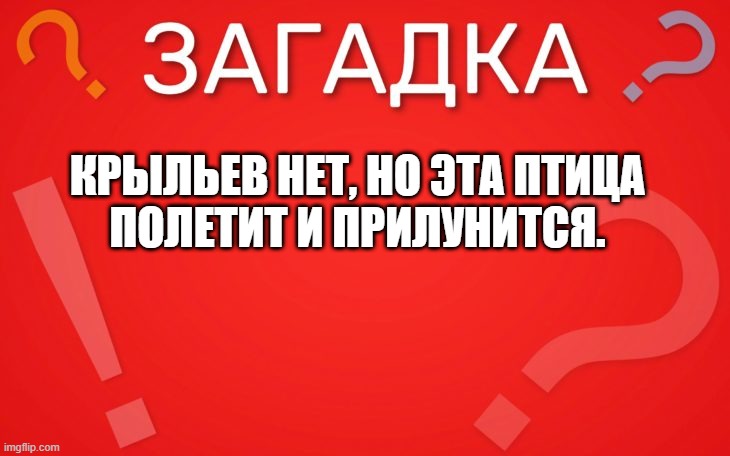Крыльев нет, но эта птица полетит и прилунится — загадка