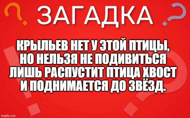 Крыльев нет у этой птицы, но нельзя не подивиться — загадка