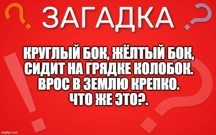 Круглый бок, жёлтый бок, сидит на грядке колобок  — загадка