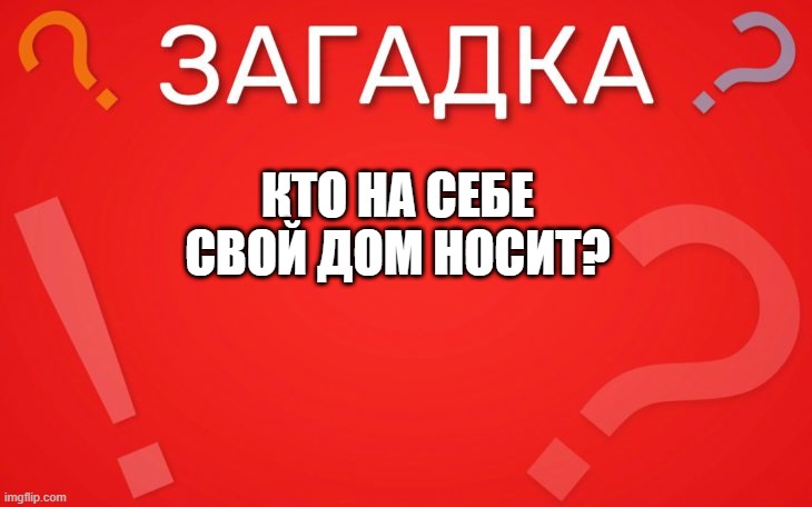 Кто на себе свой дом носит — загадка