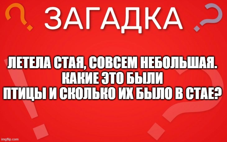 Летела стая, совсем небольшая веселая — загадка