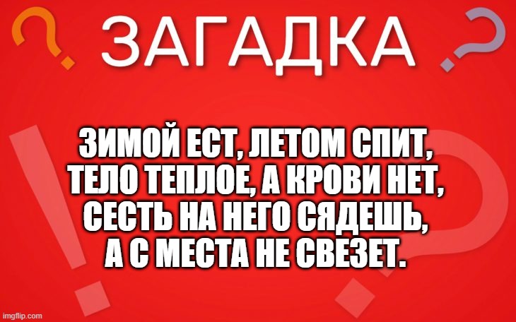 Летом спит, зимой ест — загадка