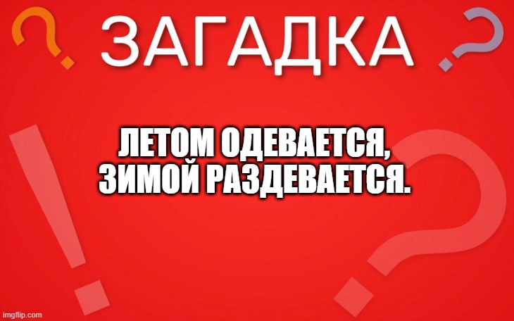 Летом одевается, зимой раздевается — загадка