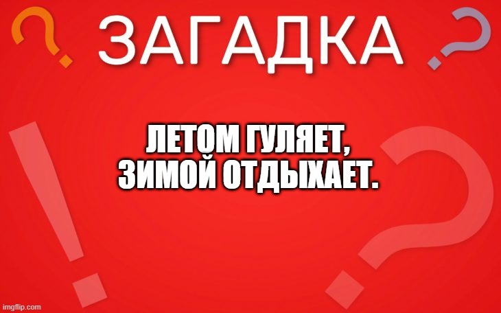 Летом гуляет, зимой отдыхает — загадка
