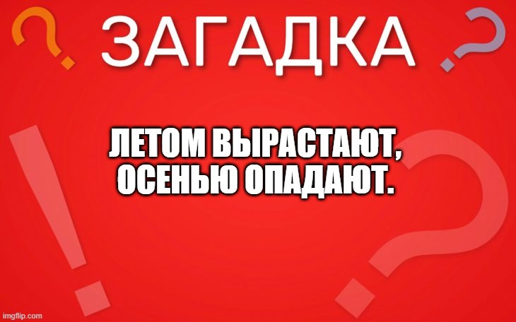 Летом вырастают, осенью опадают — загадка
