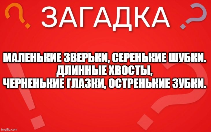 Маленькие зверьки, серенькие шубки — загадка