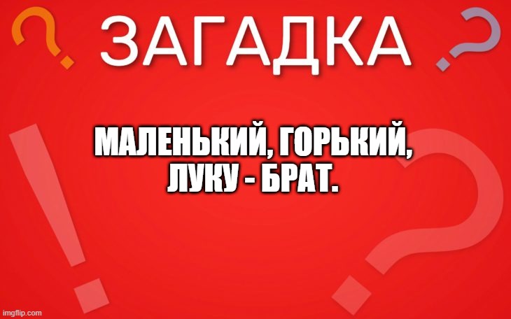 Маленький горький, луку брат — загадка