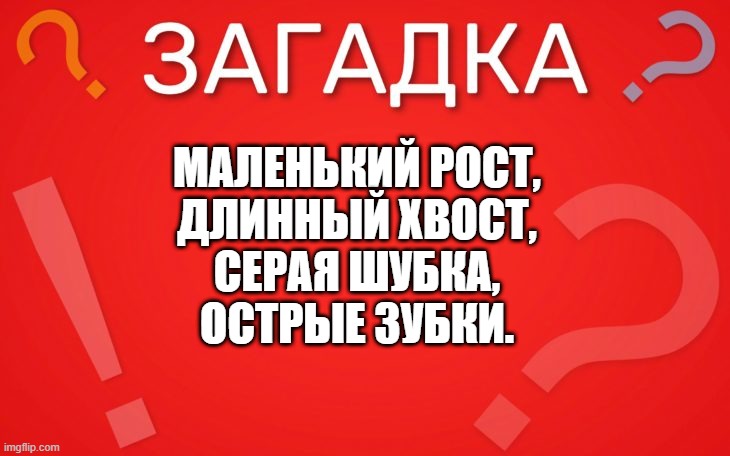 Маленький рост, длинный хвост — загадка