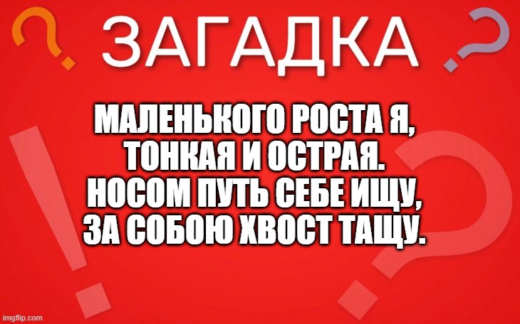 Маленького роста я, тонкая и острая — загадка