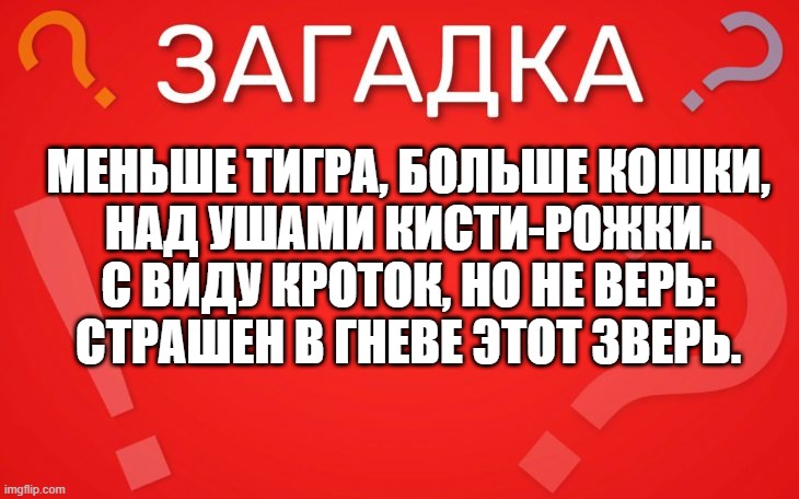 Меньше тигра, больше кошки, над ушами кисти рожки — загадка