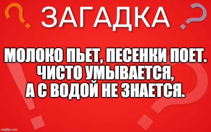 Молоко пьет, песенки поет, чисто умывается — загадка
