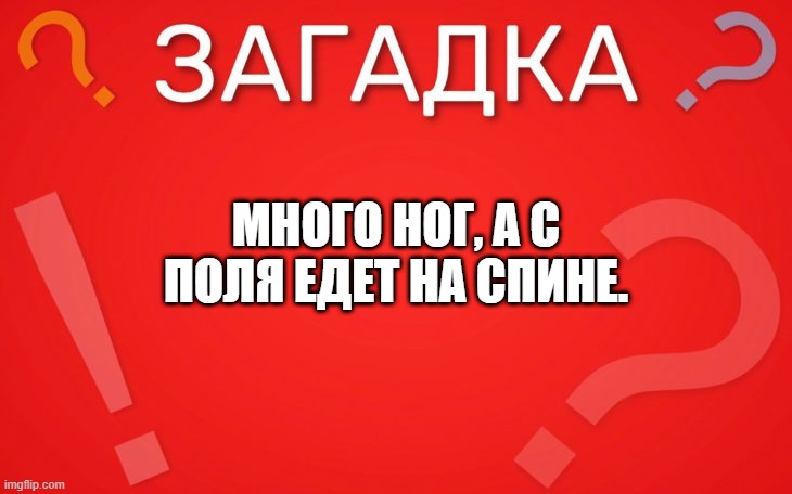 Много ног, а с поля едет на спине — загадка