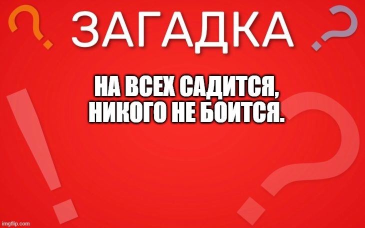 На всех садится, никого не боится — загадка