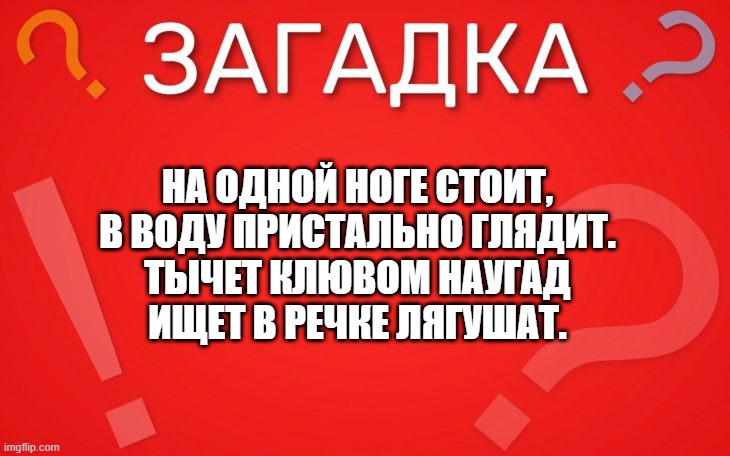 На одной ноге стоит, в воду пристально глядит — загадка