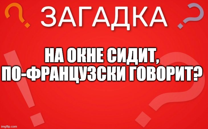 На окне сидит, по французски говорит? — загадка