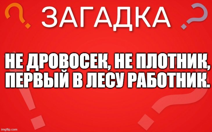 Не дровосек, не плотник, первый в лесу работник — загадка