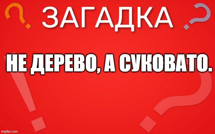 Не дерево, а суковато — загадка