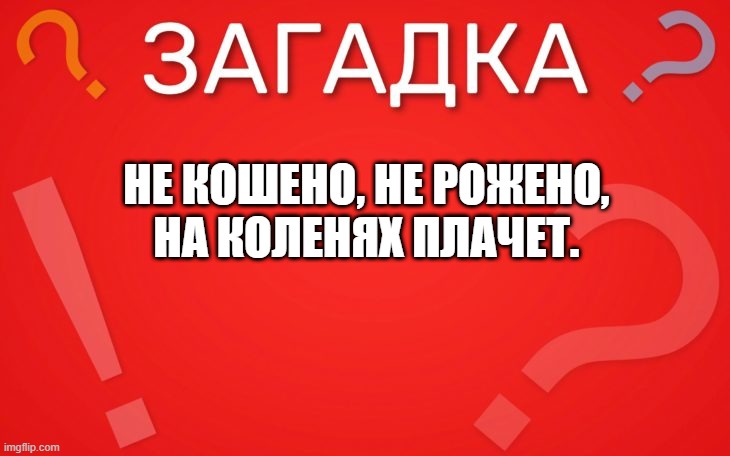 Не кошено, не рожено, на коленях плачет — загадка