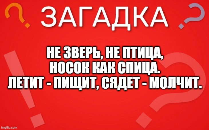 Не зверь не птица, носок как спица — загадка