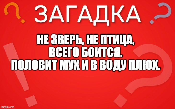Не зверь не птица, всего боится — загадка