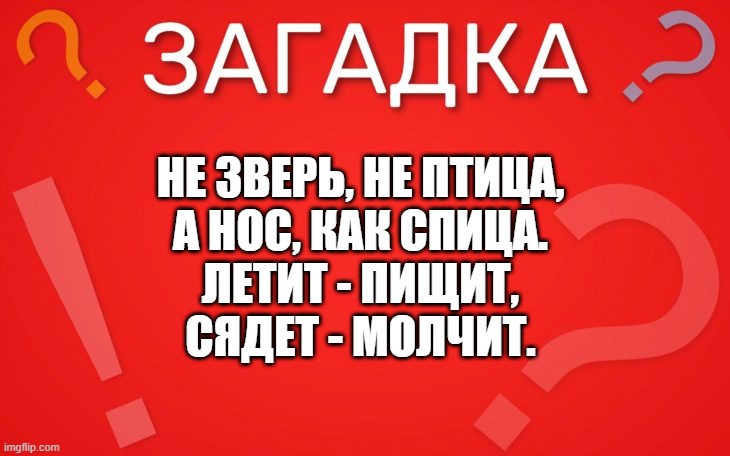 Не зверь не птица, а нос как спица — загадка