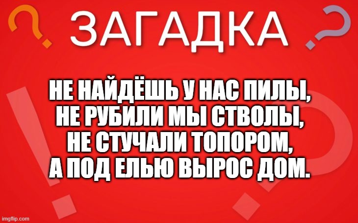 Не найдёшь у нас пилы, не рубили мы стволы — загадка