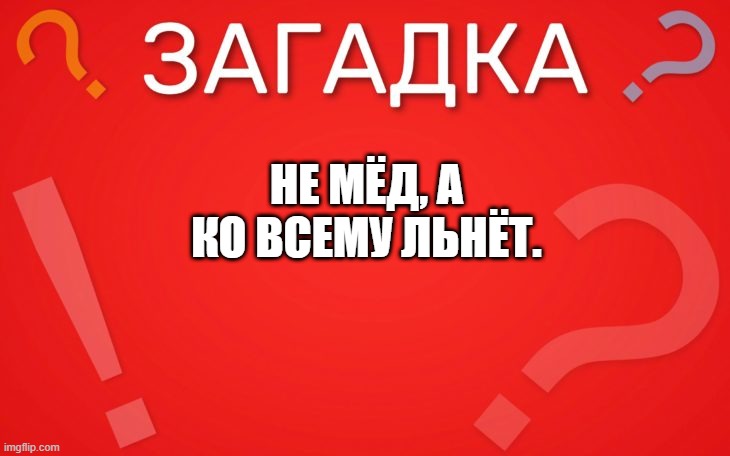 Не мёд, а ко всему льнёт — загадка