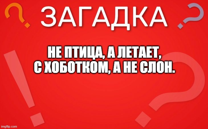 Не птица а летает, с хоботком а не слон — загадка