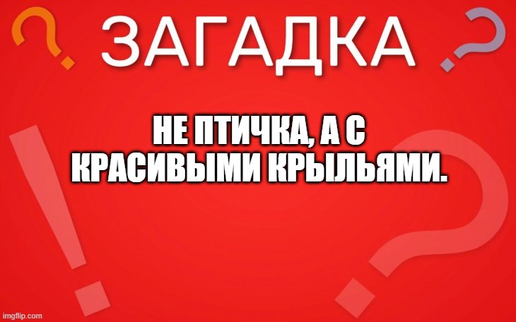 Не птичка, а с красивыми крыльями — загадка