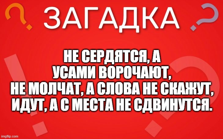 Не сердятся, а усами ворочают — загадка