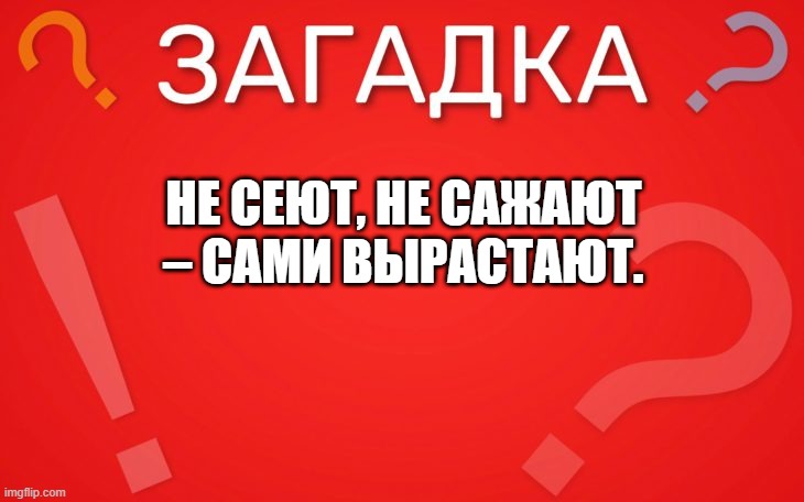 Не сеют, не сажают, сами вырастают — загадка