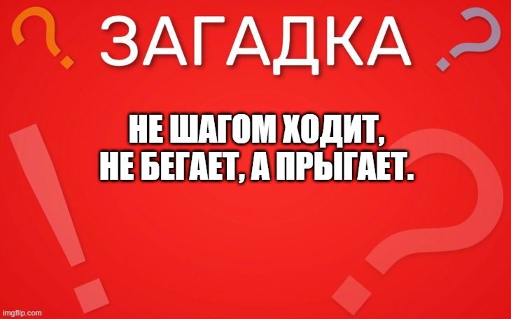 Не шагом ходит, не бегает а прыгает — загадка