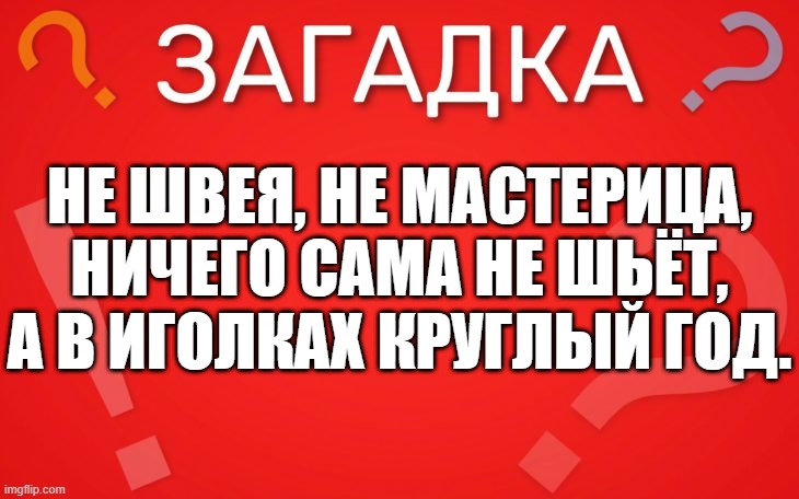 Не швея, не мастерица, ничего сама не шьёт — загадка