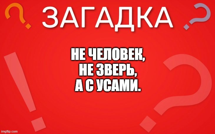 Не человек не зверь, а с усами — загадка